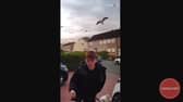 Boy attacked by aggressive seagulls