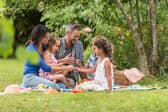 Picnic baskets, blankets, cooler bags and backpacks 2021