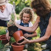 Essential gardening tools for spring 