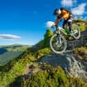 Voodoo, Vitus or Pinnacle: which is the best mountain bike for you? 