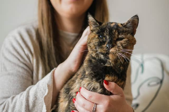 Flossie, pictured here with new owner Vicki, has been named the world’s oldest cat by the Guiness Book of World Records.