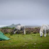 Wild camping on Dartmoor has been restricted after a new High Court ruling. (Credit: Adobe)