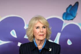 Queen Consort Camilla have tested positive for Covid-19, say Buckingham Palace officials.