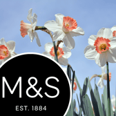 M&S has apologised for displaying daffodils next to spring onions