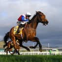 Cheltenham Festival 2022 starts on Tuesday, March 12 - Credit: Getty Images