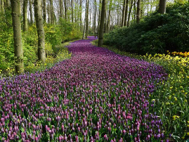Met Office UK weather forecast confirms Spring will finally arrive this week - when temperatures will rise