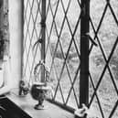 English singer-songwriter and musician Kate Bush at her family's home in East Wickham, London, 26th September 1978. (Photo by Chris Moorhouse/Evening Standard/Hulton Archive/Getty Images)