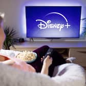 Disney Plus will crackdown on password sharing. Photo: Kaspars Grinvalds - stock.adobe