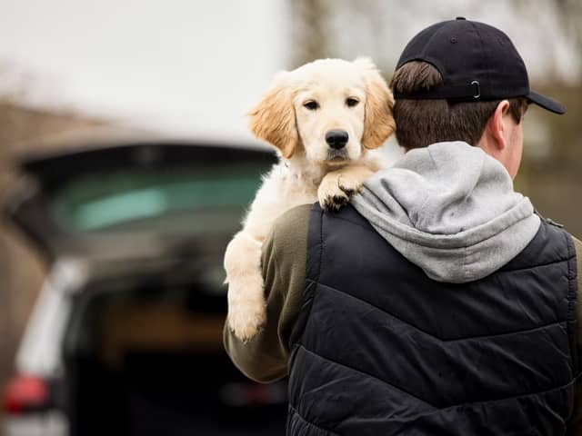Environment Secretary George Eustice said there has been a “worrying” rise of pet thefts during the Covid pandemic, but said the creation of the pet theft taskforce will help deal with the issue (Photo: Shutterstock)