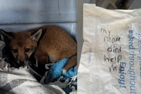 The fox cub was discovered in the village of Langley Moor, Durham in a carrier bag.  Inside there was also a message penned on the back of a paper Greggs bag.