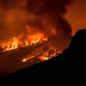 Wildfire rages in a forested area on the Canary island of Tenerife