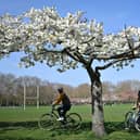 Cyclists in the park,