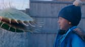 John Lewis Christmas advert 2023 Snapper, the Perfect Tree, is out now