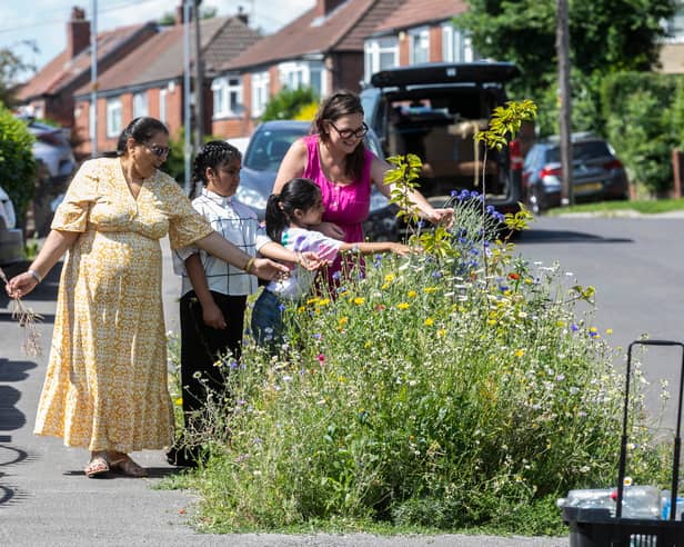Grace Hills, 36, transformed her street from a 'neglected patch of urban land' into a colourful wildflowers. 