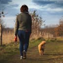 Many plan to start a new eating and exercise regime in the New Year