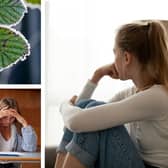 This time of year can be a lot for students 