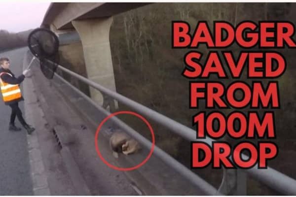 A person preparing to rescue a badger from a 100 metre drop