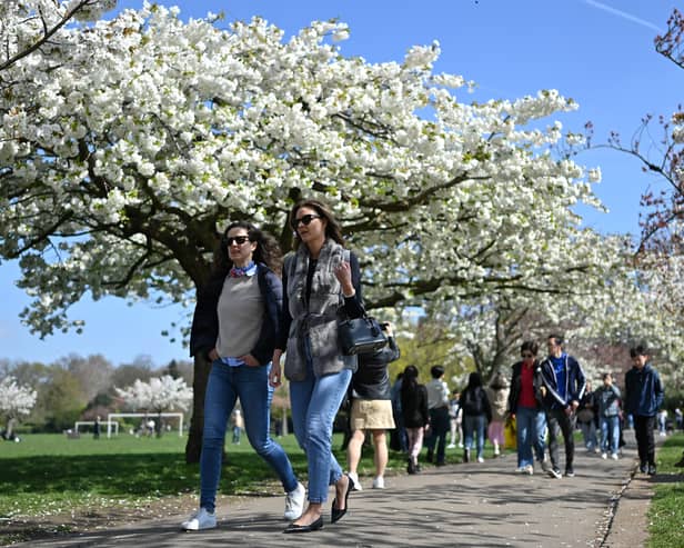 People walk in the park.