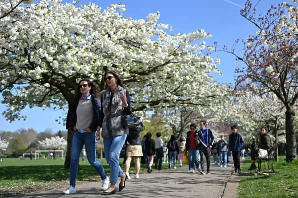 People walk in the park.