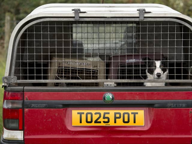 (Images: Getty Images/Carwow)