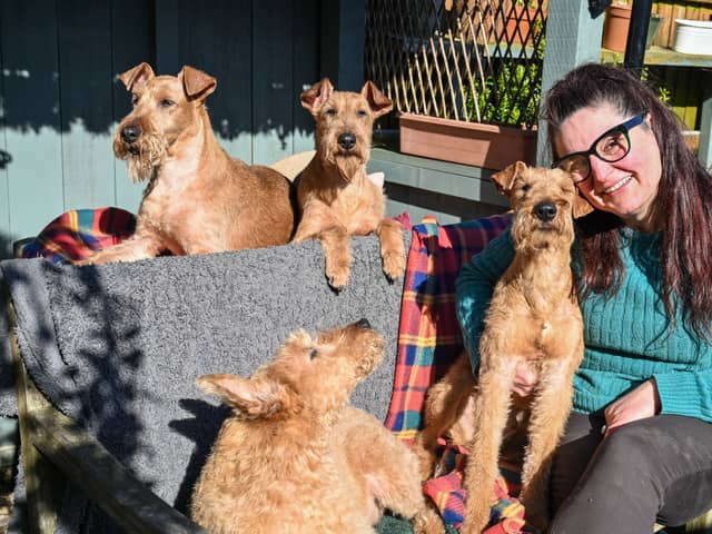 Karen Hobson from Wiltshire, has been showing her Irish terriers for 10 years at Crufts and this year she will be attending with 3 generations of her 4 generations of Irish terriers. BC (L-R) Ailis and Dana and FR (L-R) Roisin and Cillian.March 3 2025.