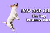 Happy playful Jack Russell Terrier dog playing