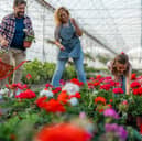  82 per cent believe intergenerational collaboration is key to growth