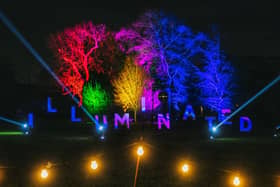 Stockwood Illuminated returns for its seventh year this Christmas.