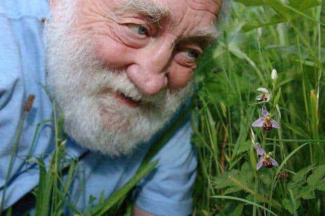David and the Bee Orchid. Credit: Tony Margiocchi.