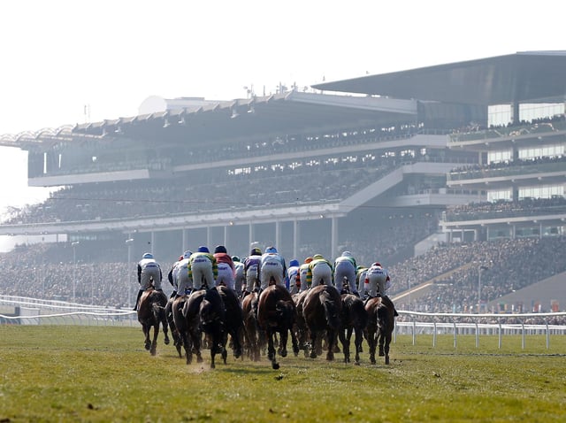 The Cheltenham Festival is fast approaching