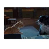 Cats & Dogs: Paws Unite!