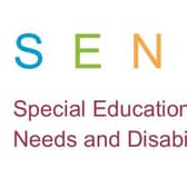Special educational needs and disability (SEND) services in Central Bedfordshire need to be improved