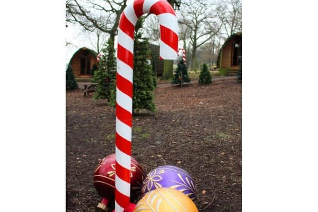 Christmas at Whipsnade Zoo (C) ZSL