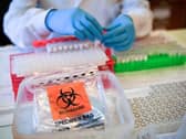 Coronavirus    (stock image)