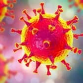 Coronavirus     (stock image)
