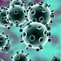 Coronavirus     (stock image)
