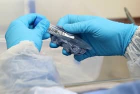 Coronavirus latest     (Tuesday)