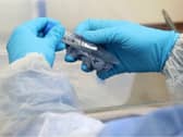 Coronavirus latest     (Tuesday)