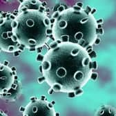 Coronavirus latest     (stock image)