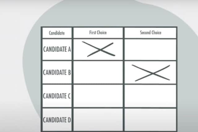 Voters will choose their first and second preferences in the Beds PCC election