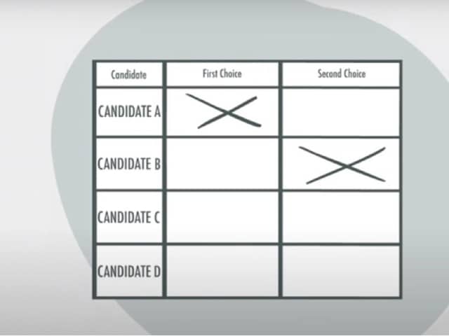 Voters will choose their first and second preferences in the Beds PCC election