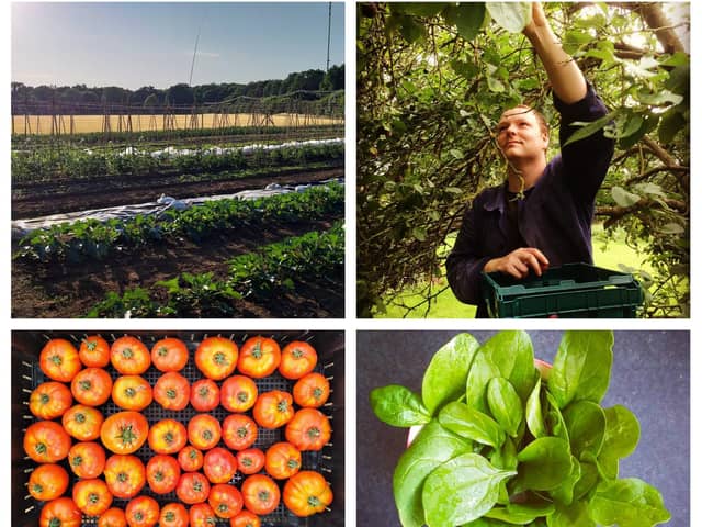 Post pandemic Peter’s market garden will be a long term project!