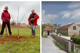 The planting of the Newton Apple Sapling. Photo: Cllr Wye. Right: Woolsthorpe Manor. Photo: Google.