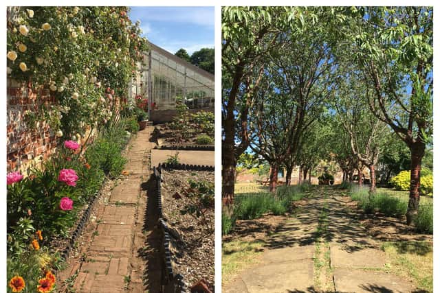 AFTER: the walled garden. Photo: MOD.