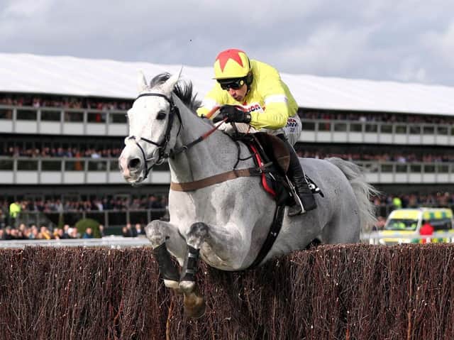 Politologue and Harry Skelton jump the last on their way to winning the Betway Queen Mother Champion Chase