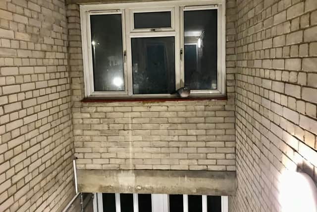 RSPCA officers were called to Dunstable when this pigeon got trapped in a stairwell