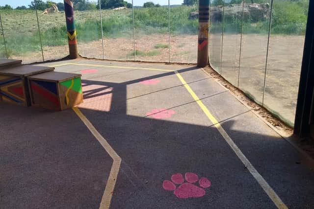 Social distancing prints at Whipsnade (c) ZSL