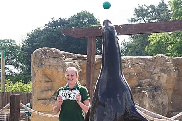 Zookeeper Alex Pinnell at ZSL Whipsnade Zoo with California Sea lions (C) ZSL