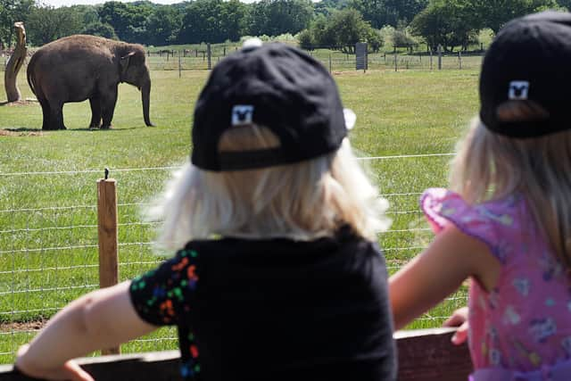 ZSL Whipsande Zoo reopens (C) ZSL