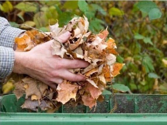 There will be a one-off collection of garden waste to help clear the backlog